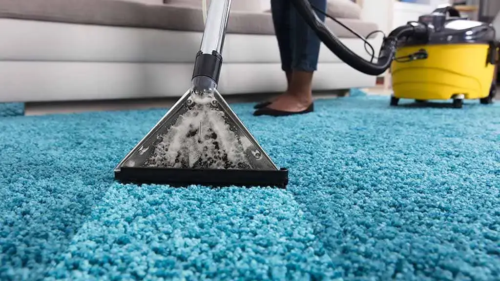 Carpet Cleaning service-organicpestcontrolbd