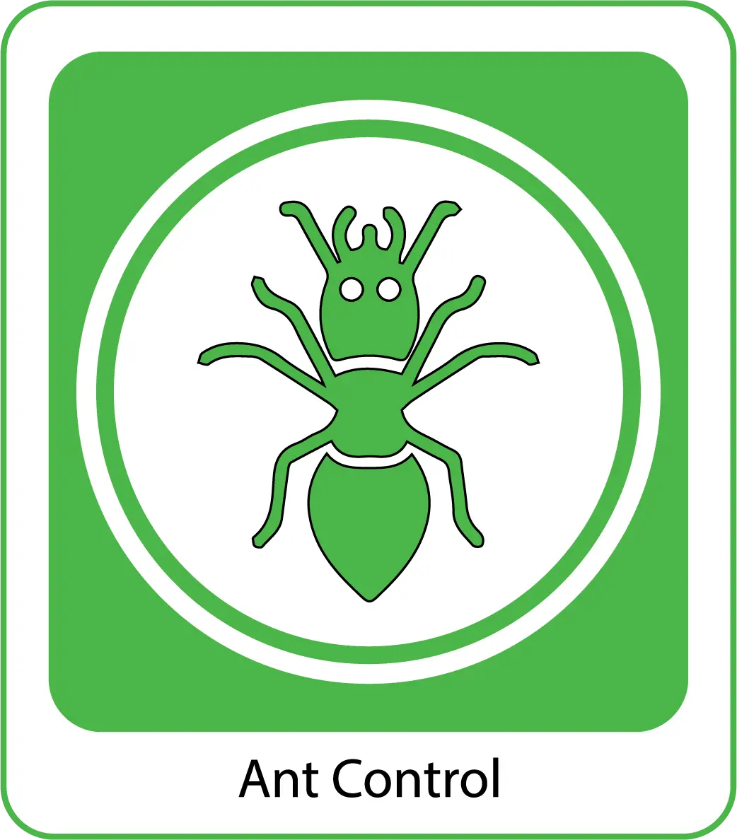Ant-Control-organicpestcontrolbd