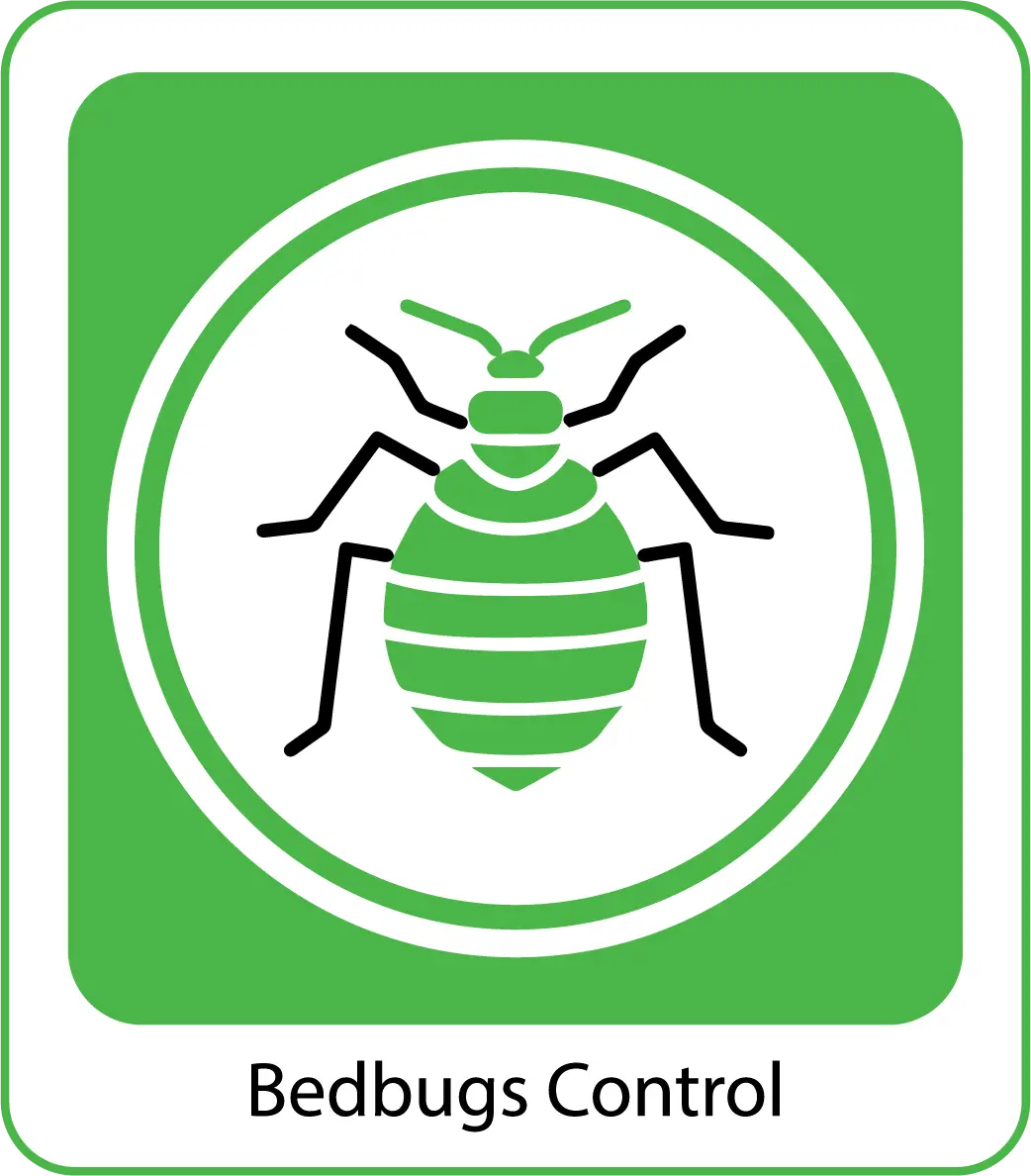Bedbugs-Control-organicpestcontrolbd