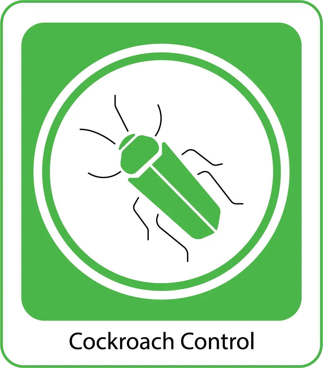 Cockroach-Control-organicpestcontrolbd