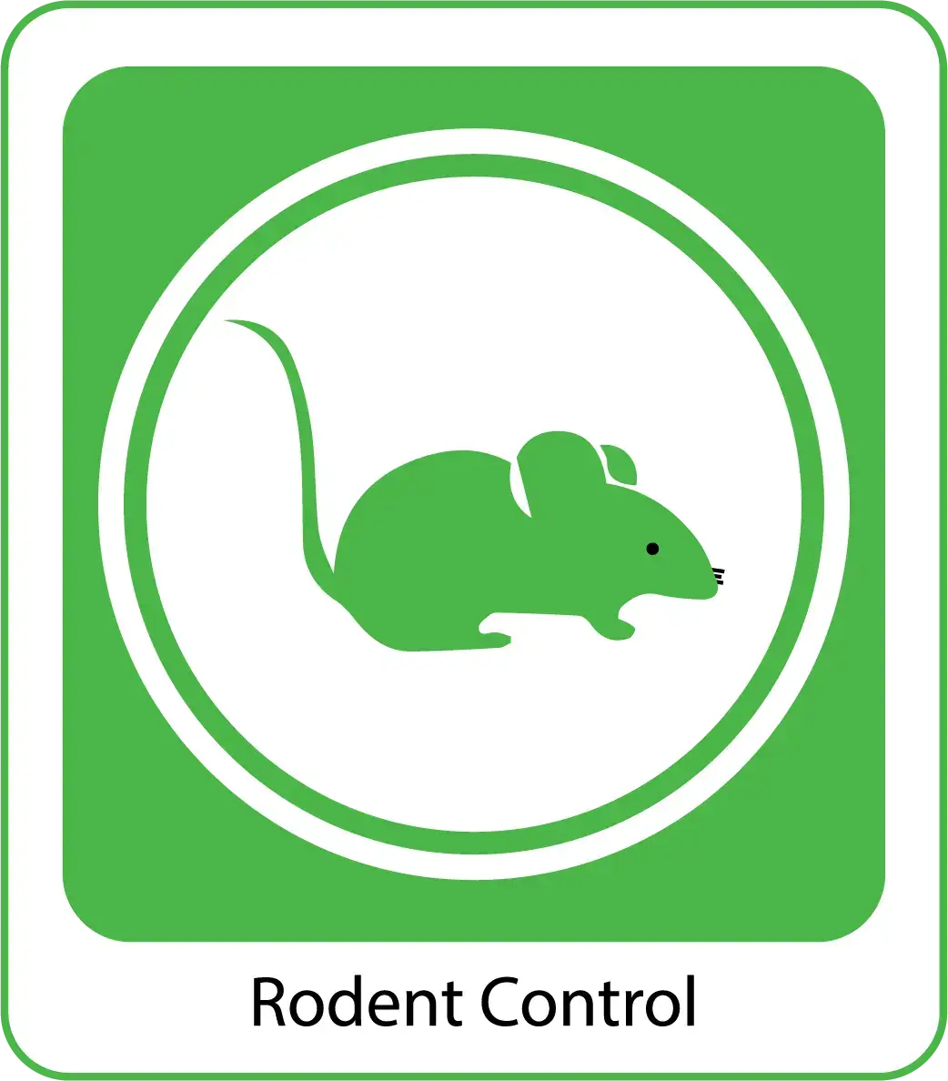 Rodent-Control-organicpestcontrolbd