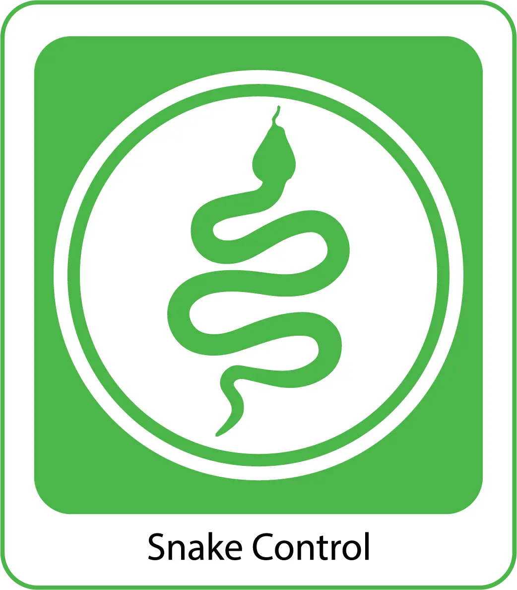 Snake-Control-organicpestcontrolbd
