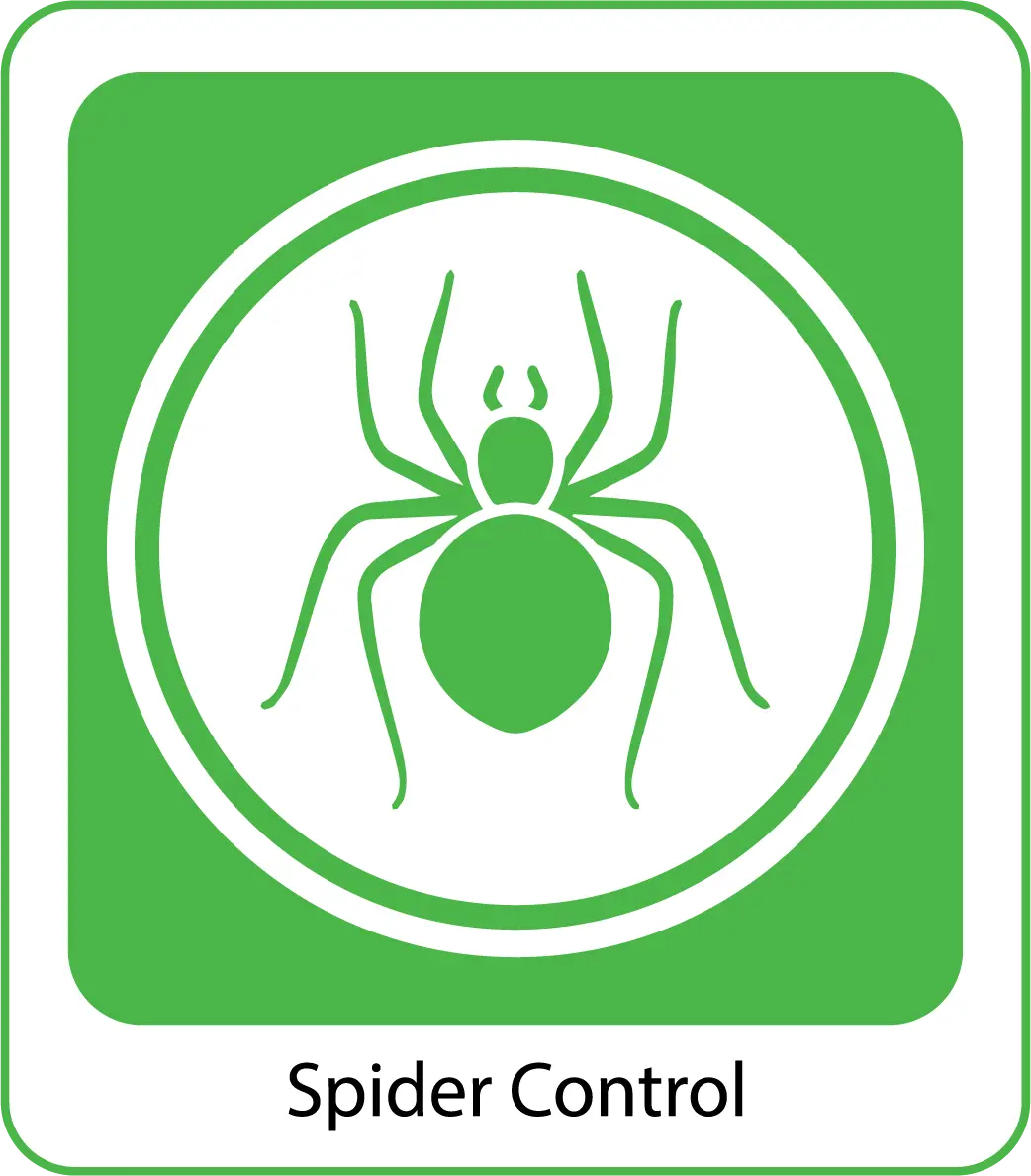 Spider-Control-organicpestcontrolbd