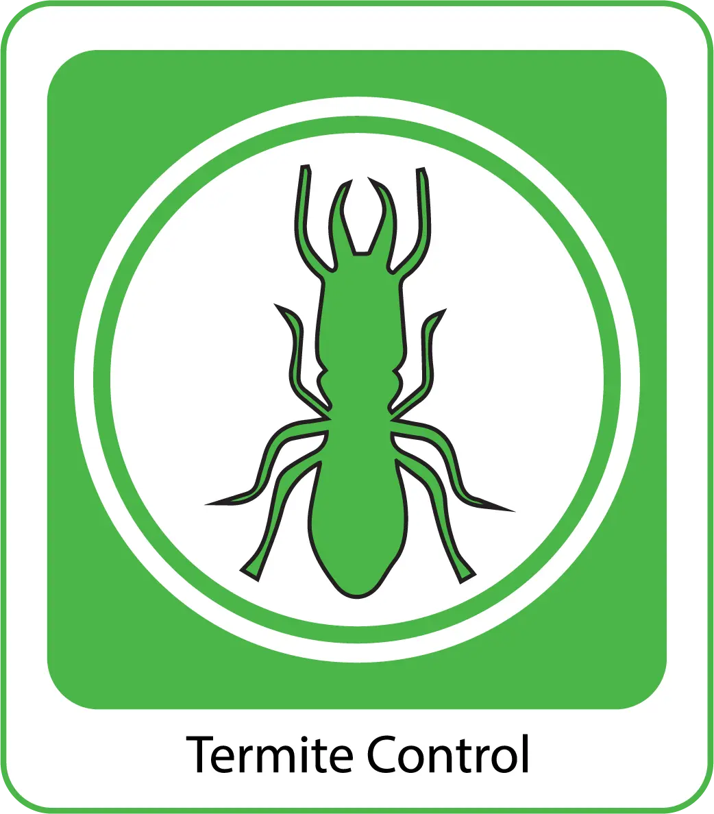Termite-Control-organicpestcontrolbd